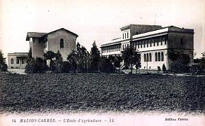 MAISON-CARREE - ECOLE AGRICULTURE